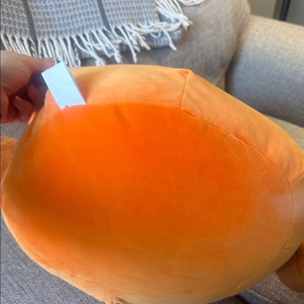 Squishmallows Orange Plush Toy